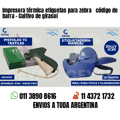 Impresora térmica etiquetas para zebra  código de barra - Cultivo de girasol